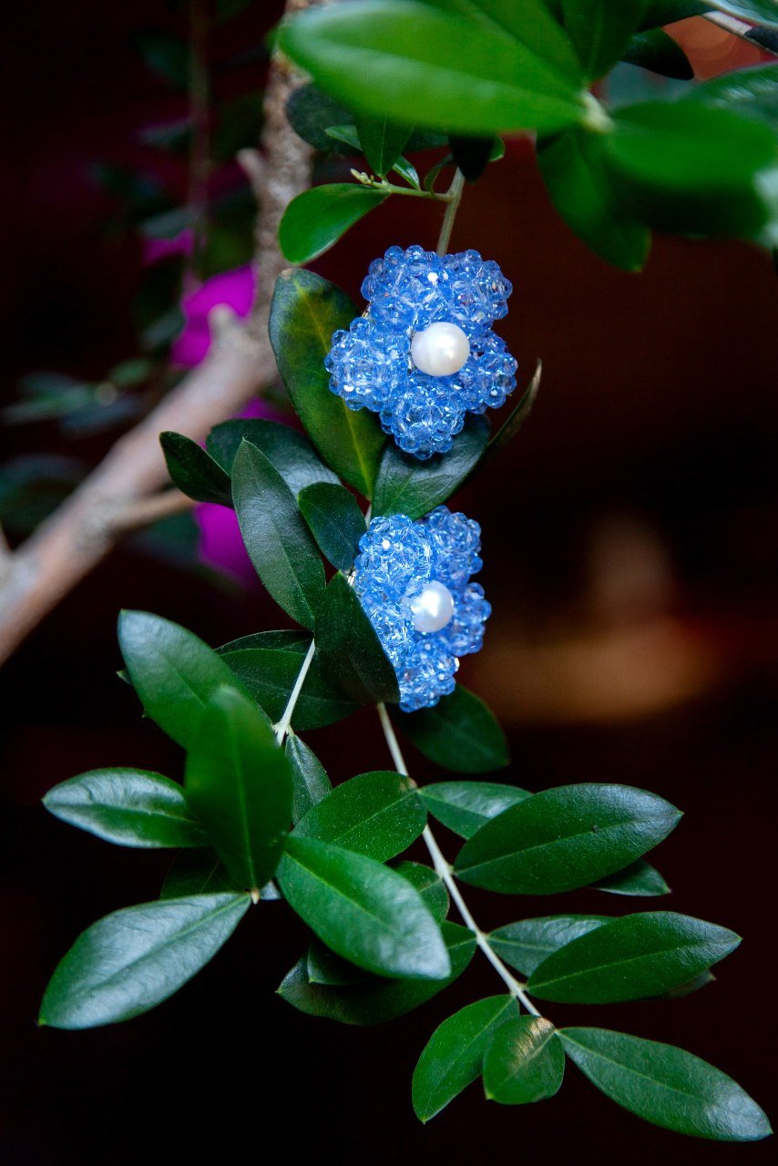 Кліпси «Crystal Bloom Гіацинт» - Star.Kasage